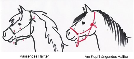 Illustration passendes Halfter